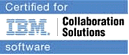 IBM Logo software