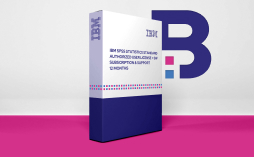 IBM Safer Payments Resource Value Unit Monthly License